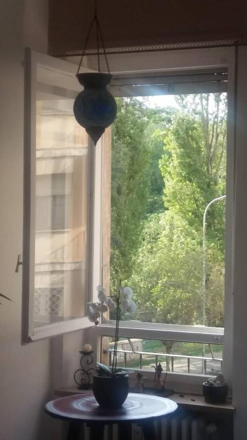Vista Sul Fiume Apartment Торино Екстериор снимка